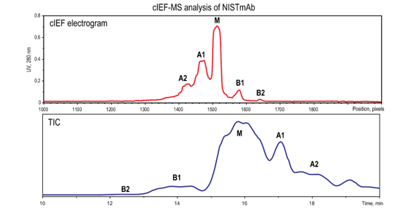 1675157870137866.png tech-03-cIEF-MSanalysisofNISTmAb.png