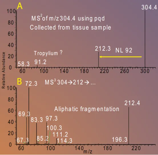 1741660969620250.jpg 20.jpg